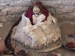 MS Shot of Chauchilla cemetery with mummies and skulls in grave / South Of Peru, Nazca, Peru Stock Footage