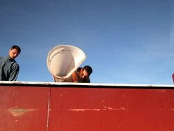 young men tipping grapes into trailer Stock Footage