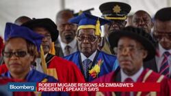 Zimbabwe's Mugabe Steps Down After 37-Year Rule News Clip
