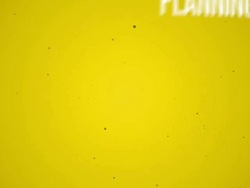 Project Management related words animation Stock Footage