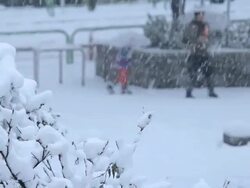 Snow covered the park. Tokyo, Japan Stock Footage