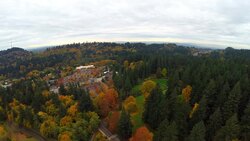 Aerial Portland SW Forest Stock Footage