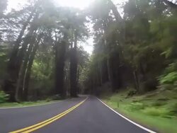A rural road in the Northern California coastal area with the Pacific Ocean and Redwood trees. Stock Footage