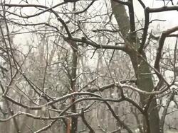 HD SUPER SLOW-MO: Snowing In The Forest Stock Footage