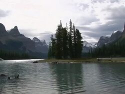 WS View of island with mountains / Jasper, Alberta, Canada  Stock Footage
