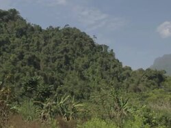 WS PAN SLO MO Dense vegetation with mountain / Vang Vieng, Vientiane, Laos Stock Footage