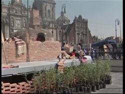 Preparations for Day of the Dead News Clip