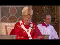 Pope Apologises For Sex Abuse News Clip