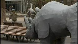 Zoo staff hold emergency drill to practice for possible rhinoceros News Clip