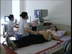 Changing Face of China, AP focus on adult generatn of 'Little Emperors' Instructional Video