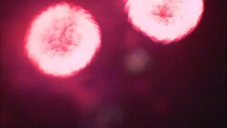 Multicolored fireworks explode in brilliant succession. Stock Footage