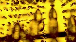 Crystal chandelier Stock Footage