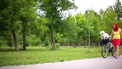 Happy Hipster Girl with her Dog and Bike Stock Footage