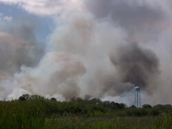 Wetlands Wildfire Stock Footage