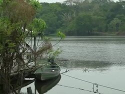 View of an Amazon typical landscape with a regional motor boat - PAN CAM Stock Footage