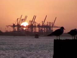 WS View of shipyard at sunset / Hamburg, Hamburg, Germany Stock Footage