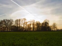 HD Motion Time-Lapse: Tree At Sunset Stock Footage