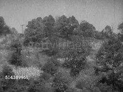 1952: MONONGAHELA RIVER: VS Moving along the Mon river, passing sign, trees, & houses, & HAZY Morgantown (West Virginia)  along riverbank, the Shannopin diesel towboat & barge w/ coal docked in Morgantown. Steel industry Instructional Video
