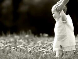 Toddler Walking On A Meadow Stock Footage