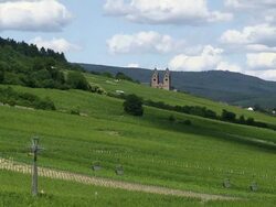 WS View of overhead cable car traveling / RÃƒÂ¼desheim, Hesse, Germany  Stock Footage