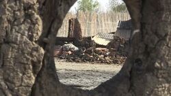 CLEAN : Food and water becoming scare in South Sud News Clip