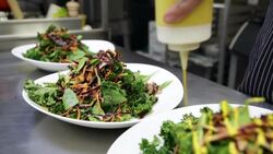 Chef dressing salads on commercial kitchen counter Stock Footage