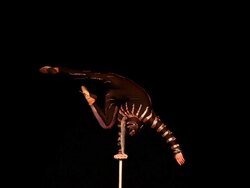 LS CU Chinese acrobats/xian,shaanxi,China Stock Footage