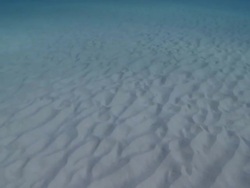 MS Sandy sea bed / Playa del Carmen, Isla Mujeres, Mexico Stock Footage