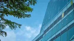 Concept, Sky, green tree and finance building Stock Footage