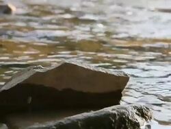 flowing water riverbank Stock Footage