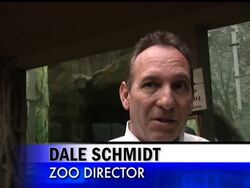 The Columbus Zoo and Aquarium in Ohio celebrates 53rd birthday of oldest gorilla now in captivity. News Clip