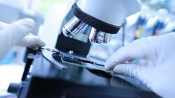 Researchers using a microscope in laboratory Stock Footage