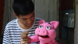 boy playing pig hand puppet Stock Footage