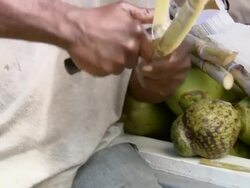 MS TU Man selling sugarcane  / Brightown, Barbados Stock Footage