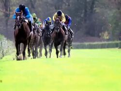 WS SLO MO View of Horses gallop down home stretch / Krefeld, North Rhine Westphalia, Germany  Stock Footage
