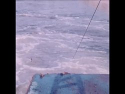 SYND 20-11-72 SCENES AT FLORIDA SHRIMP FARM News Clip