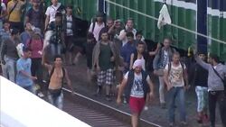 European Migrant Crisis: Migrant march along railway lines, Bicske News Clip