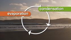 Water Cycle (Simple English) Instructional Video