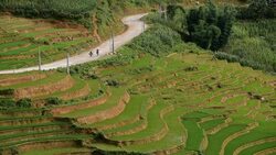 terraced rice field in Sapa, Vietnam Stock Footage