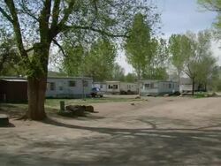 PAN Multiple trailers parked on tree-lined streets in trailer park / Ft. Collins, Colorado, United States Stock Footage
