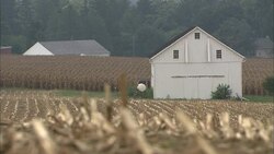 Agricultural fields surround a barn on an Amish farm. Stock Footage