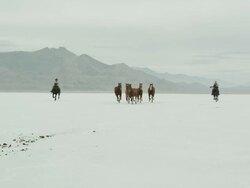 Horses running with cowboys riding across salt flats. Stock Footage