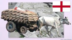 Left vs Right Instructional Video