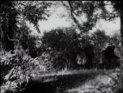 HORRORS OF CHEMICAL WARFARE News Clip