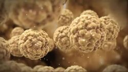 Fat cells float in clear fluid. Stock Footage