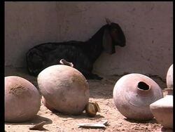 PAKISTAN: DROUGHT CRISIS News Clip
