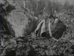 Camouflaged heiho's do exercises in the field Stock Footage