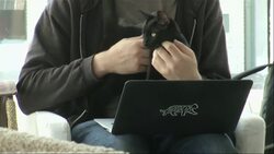 Inspired by similar businesses in Asia, the first permanent cat cafe in the US just opened in Oakland, California. As AP's Haven Daley reports, its mission is to find new homes for furry friends. (Nov. 13) Instructional Video