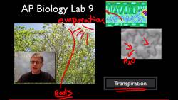 AP Biology Lab 9: Transpiration Instructional Video