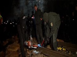 Nuclear train at German depot despite protests News Clip